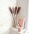 roni-rose-et-nino-leonie-rose-nude-85494251.jpg