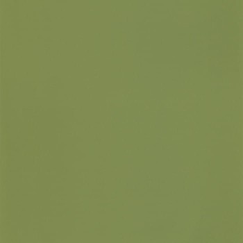 69867313.jpg