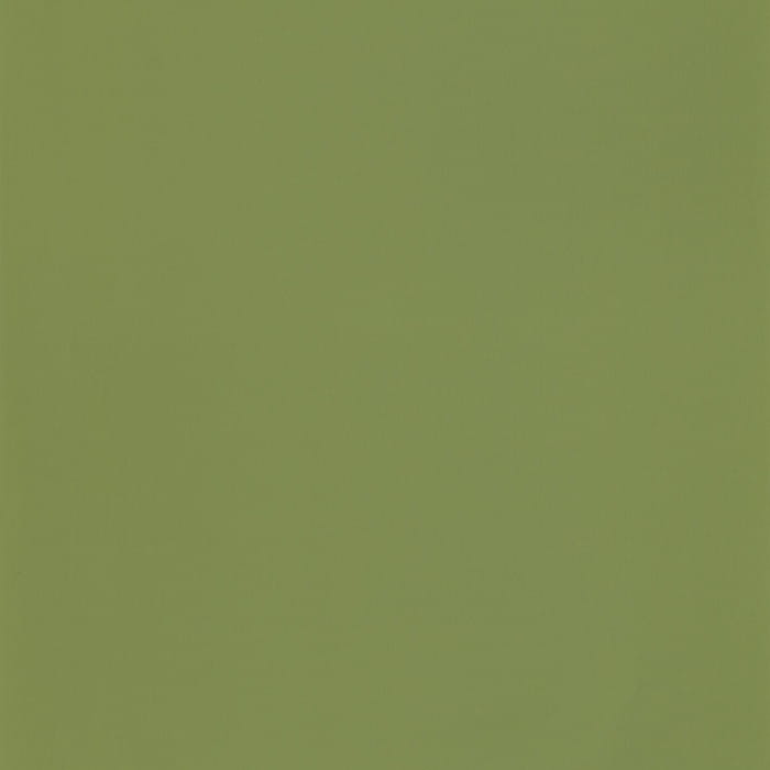 69867313.jpg