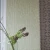 ab66edee933d9c0ce1119b4bb08a9ab2