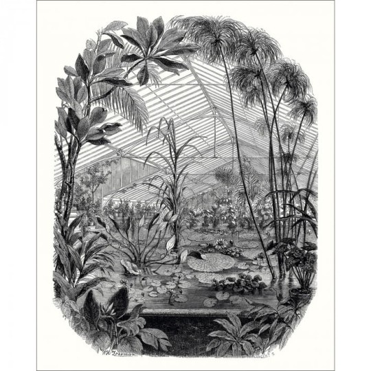 Caselio 102399000 Beauty Full Image 2 Panoramique Jardin D'hiver - mural z motywem ogrodu zimowego