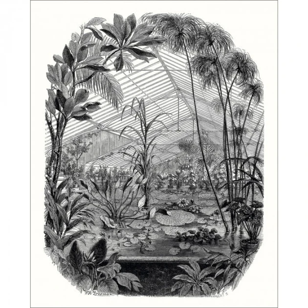 Caselio 102399000 Beauty Full Image 2 Panoramique Jardin D'hiver - mural z motywem ogrodu zimowego