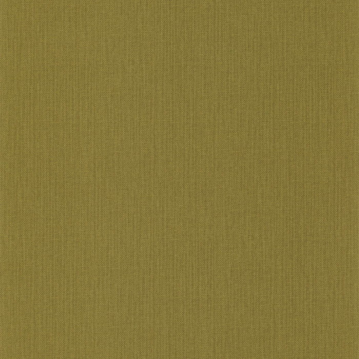101567700.jpg