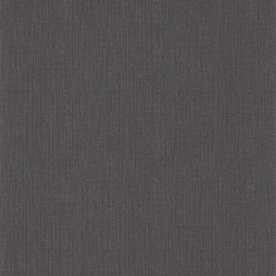 Caselio 101569582 Beauty Full Image 2 Uni Natte - tapeta szara węglowa z minimalistycznym motywem