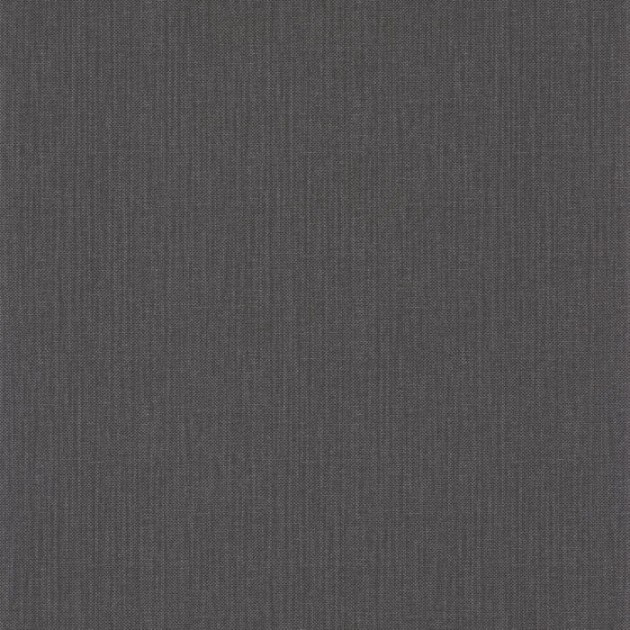 Caselio 101569582 Beauty Full Image 2 Uni Natte - tapeta szara węglowa z minimalistycznym motywem