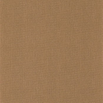 101562320.jpg