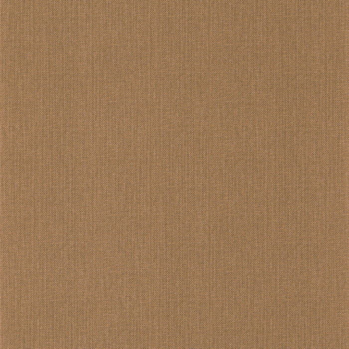101562320.jpg
