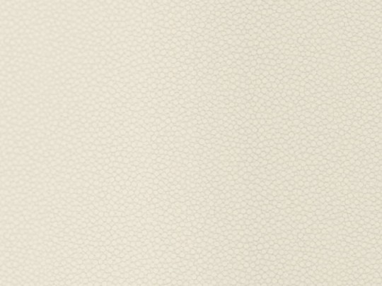 Tapeta Casadeco So White 57500078 SEDUCTION