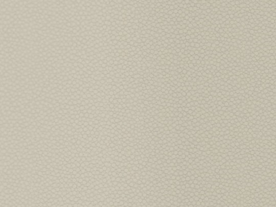 Tapeta Casadeco So White 57509041 SEDUCTION