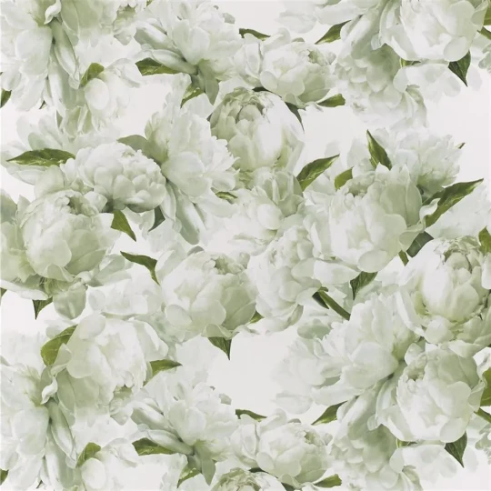 Designers Guild PDG1094/03 Foscari Fresco Peonia Chartreuse - tapeta z motywem kwiatów