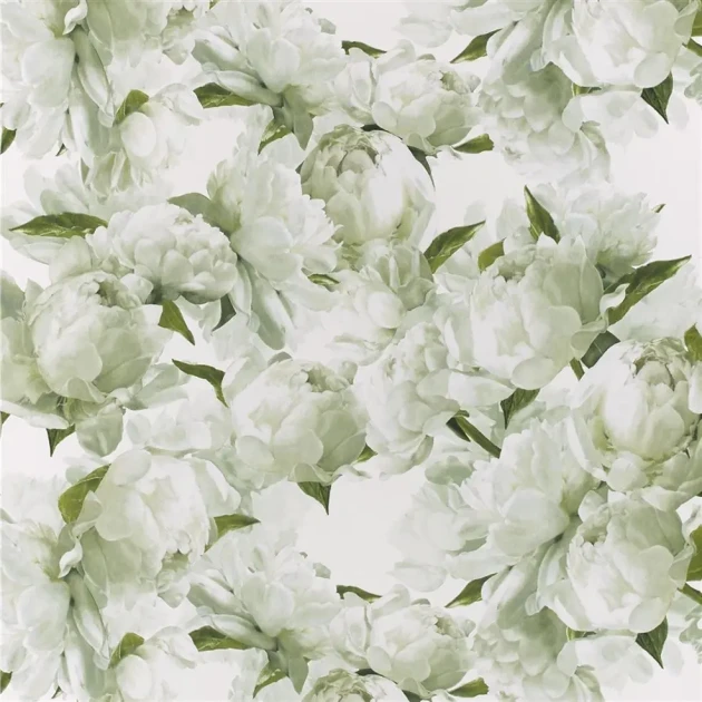 Designers Guild PDG1094/03 Foscari Fresco Peonia Chartreuse - tapeta z motywem kwiatów