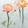 edfb14c28165b385fd1284387b1028ef