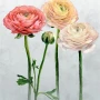 a676fadacf4cc05d1bdbfa2b3842cfa7