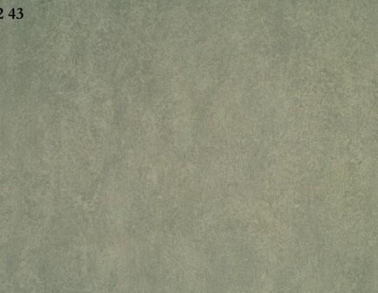 Tapeta Domus Parati Tosca 50243