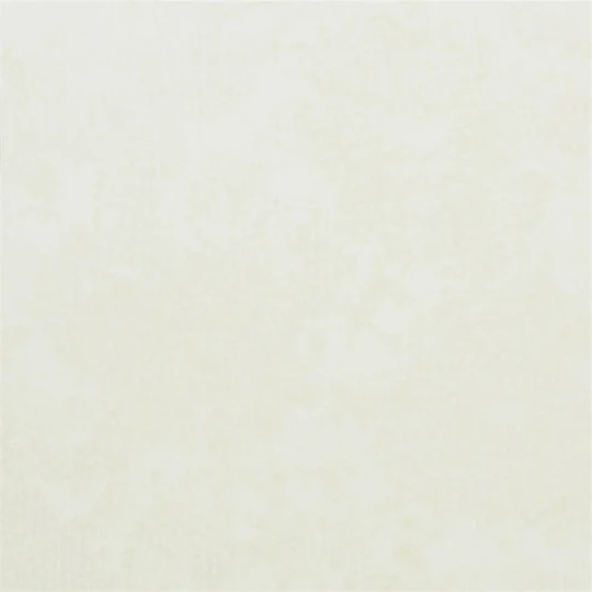 Designers Guild PDG643/01 Plain & Textured II UDYANA - CHALK - tapeta z motywem postarzanej ściany z betonu