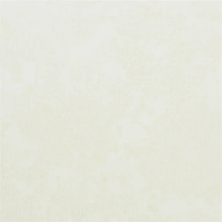 6e4c36d24ceeae3f882f14f8502d5925