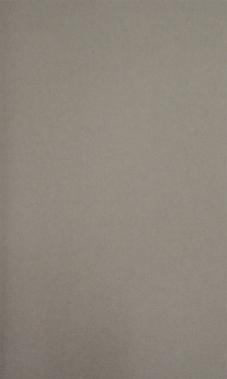 Tapeta Camengo Perspectives 72280769 luminance uni taupe