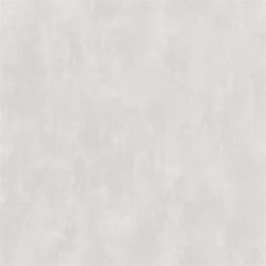 Designers Guild PDG719/03 Parchment SILVER BIRCH - tapeta z motywem ściany z betonu
