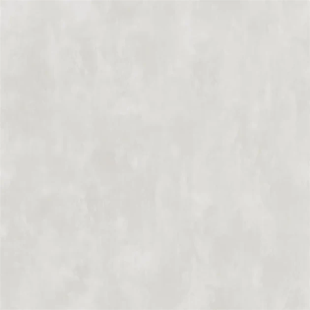 Designers Guild PDG719/03 Parchment SILVER BIRCH - tapeta z motywem ściany z betonu