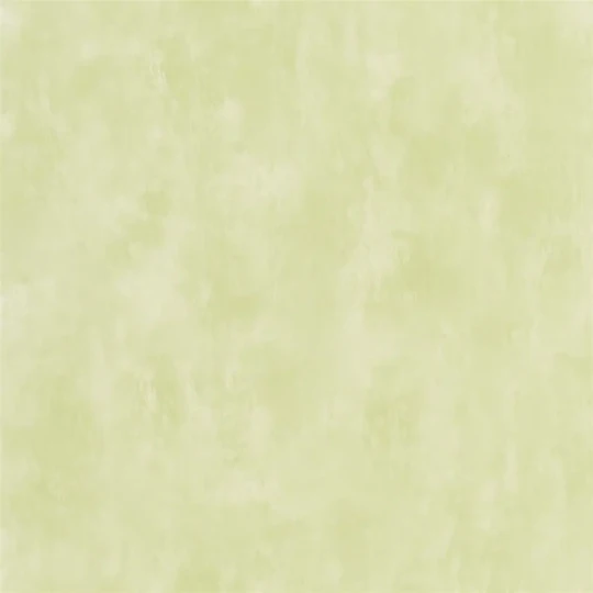 Designers Guild PDG719/31 Parchment CARDAMON POD - tapeta z motywem ściany z betonu