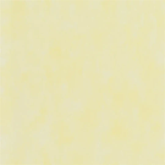 Designers Guild PDG719/32 Parchment PRIMROSE - tapeta z motywem ściany z betonu