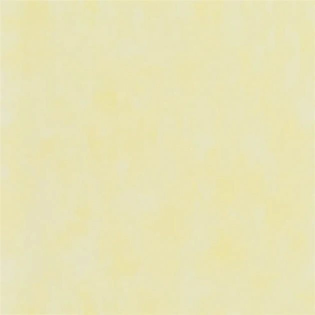 Designers Guild PDG719/32 Parchment PRIMROSE - tapeta z motywem ściany z betonu