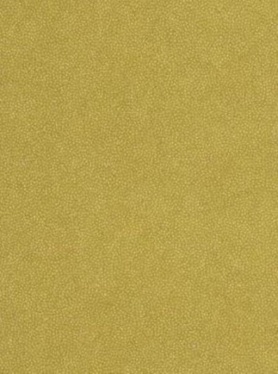 Tapeta Khroma KHARAT KHA 005