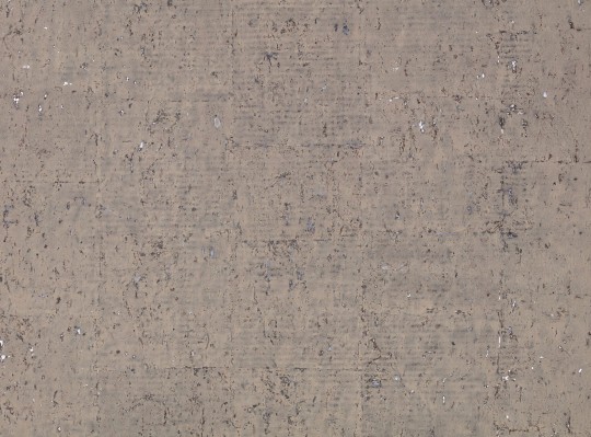 Zinc ZW129/03 Caractère Oolite Foil Smoke - tapeta jednobarwna