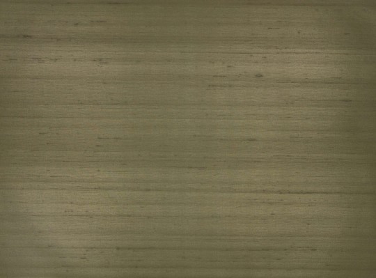 Zinc ZW134/13 Caractère Cazenove  Cypress - tapeta cieniowana