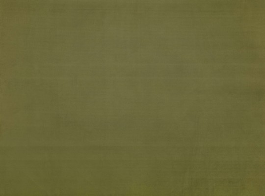 Zinc ZW141/07 Caractère Sueded Cypress - tapeta zamszowa