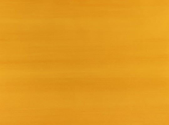 Zinc ZW142/09 Caractère Lacquer Ochre - tapeta cieniowana
