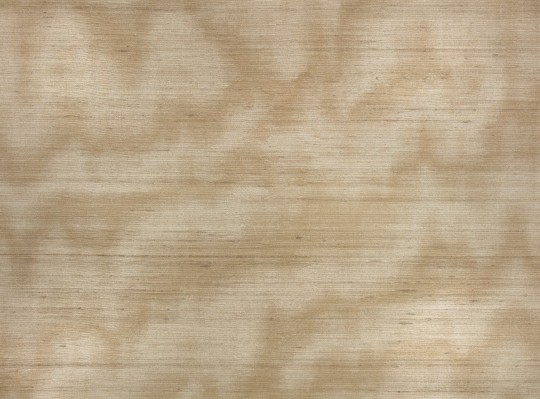 Zinc ZW143/01 Caractère Spun Gold - tapeta jedwabna