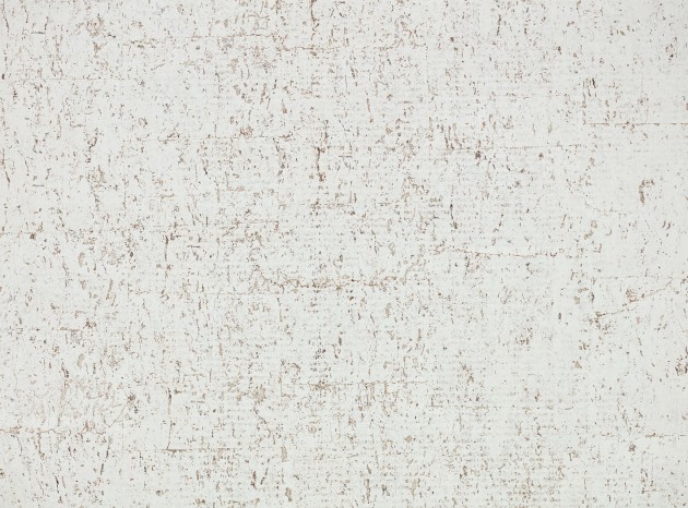 Zinc ZW144/01 Caractère Oolite Matt  Stone - tapeta matowa