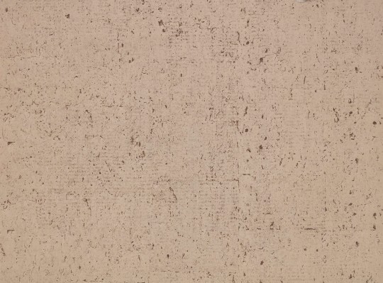 Zinc ZW144/05 Caractère Oolite Matt Truffle - tapeta matowa