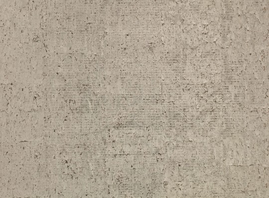 Zinc ZW144/06 Caractère Oolite Matt  Elephant - tapeta matowa