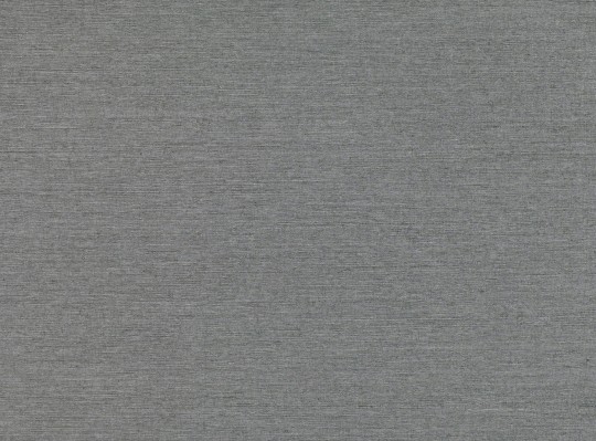 Zinc ZW126/10 Scope Jurbanite Gunmetal - tapeta naturalna