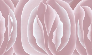 e813b2895908c4eb8cd00ae562da774d