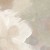 e67d312b7a5ade75c97ed59a91740d41