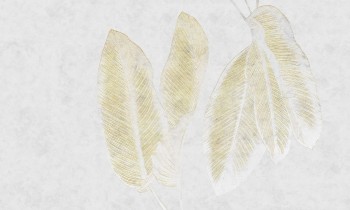 e1a88284b1692afea5df4f415fa7bca8