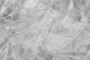 dccd38bc4beea8ca1d7c7141403c6ed6