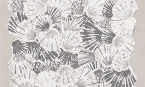 03816f66b84dc9d317386c27f4a21316