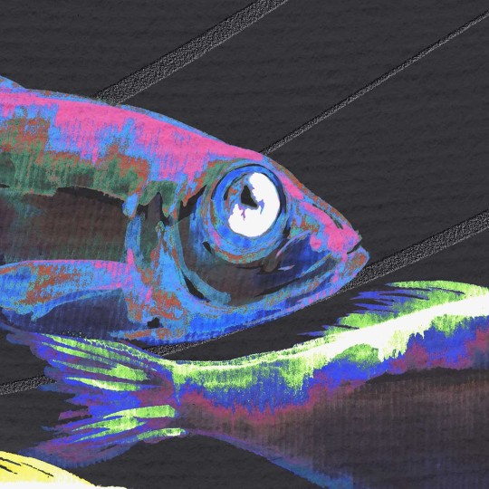 Wallpepper WP-102-B 2023 Stream Dream - mural z motywem ryb