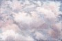 29c27789e7371f267a06dd788508e622