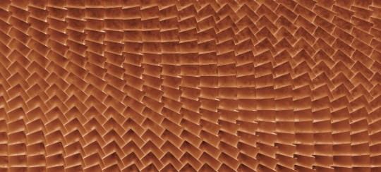 Wallpepper LR-31-C 2023 Shreds - mural z motywem 3D