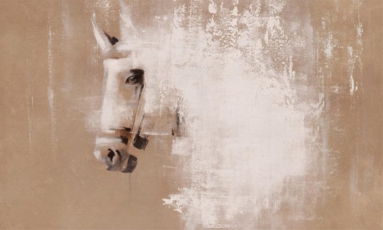 Wall Art Cavallo - mural z motywem konia