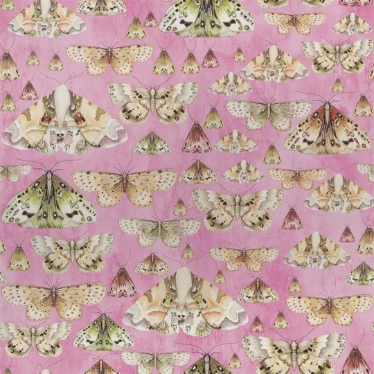 Designers Guild PDG713/03 Jardin Des Plantes Issoria Rose - tapeta z motywem ciem