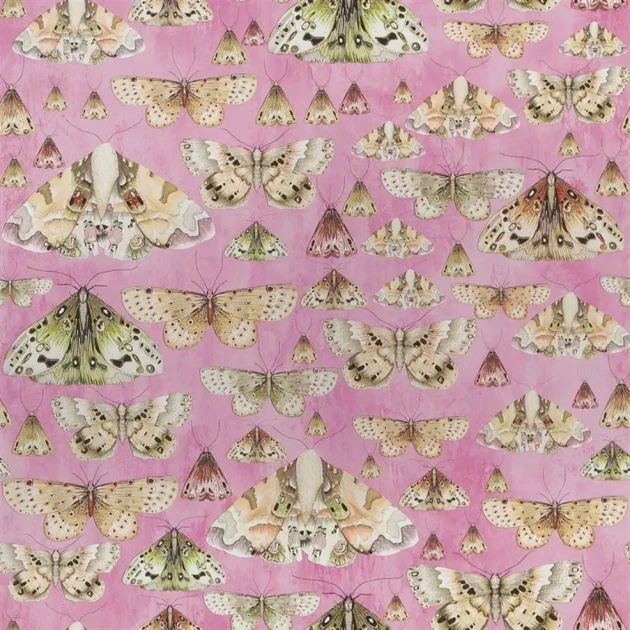 Designers Guild PDG713/03 Jardin Des Plantes Issoria Rose - tapeta z motywem ciem