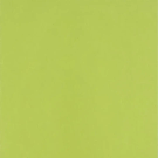 Designers Guild P536/08 Nabucco Chichester Moss - tapeta z motywem jednolitego tła