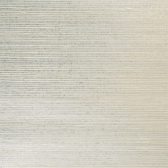 Designers Guild P513/03 Naturally III ASHBY - SILVER - tapeta z motywem postarzanej ściany z betonu