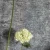 d96f1ea42810b233ec22313618d8cf49